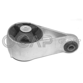 Variklio montavimas OCAP 1225902