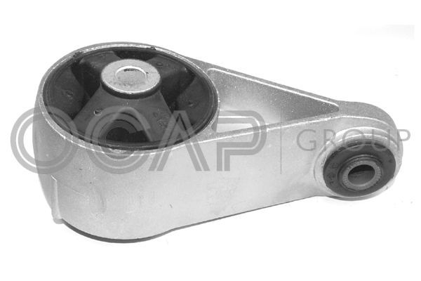 Variklio montavimas OCAP 1225902