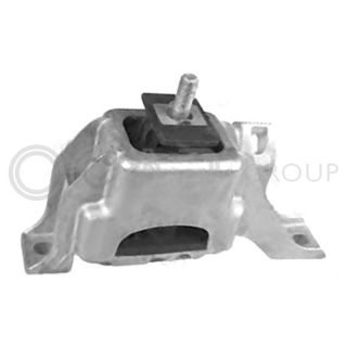 Variklio montavimas OCAP 1225903