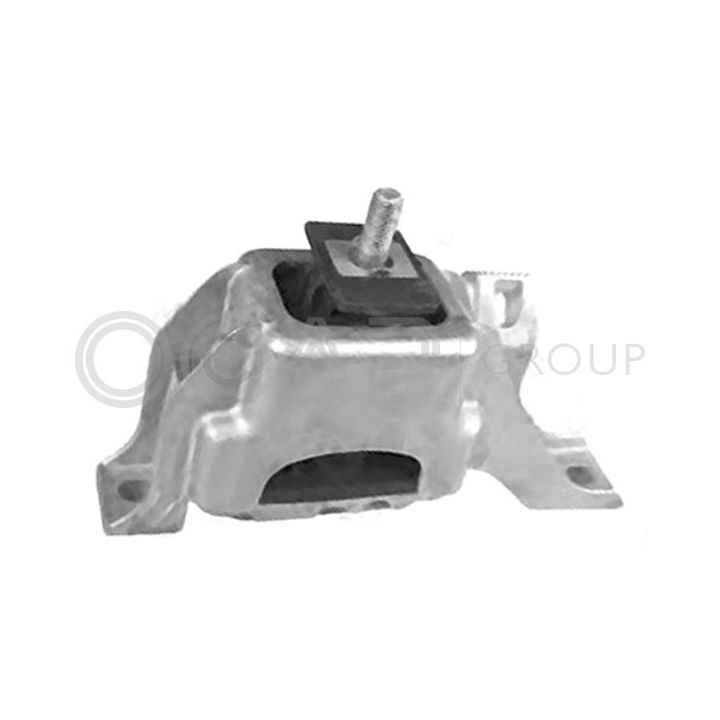 Variklio montavimas OCAP 1225903