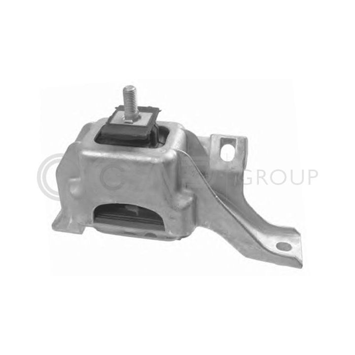 Variklio montavimas OCAP 1225906