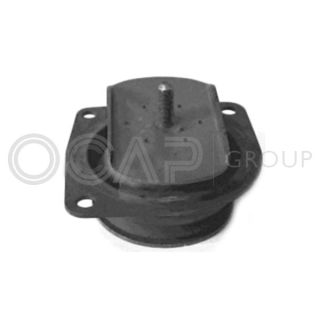 Variklio montavimas OCAP 1225931
