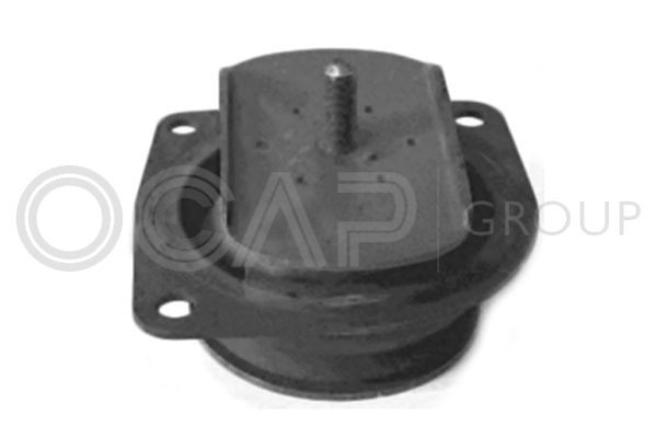 Variklio montavimas OCAP 1225931