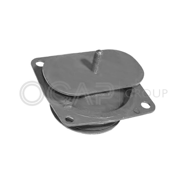 Variklio montavimas OCAP 1225932