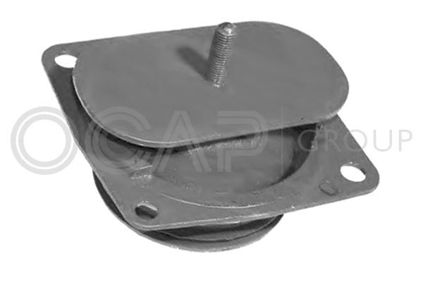 Variklio montavimas OCAP 1225932