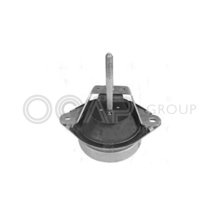 Variklio montavimas OCAP 1225936