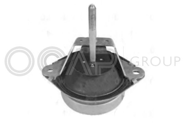 Variklio montavimas OCAP 1225936