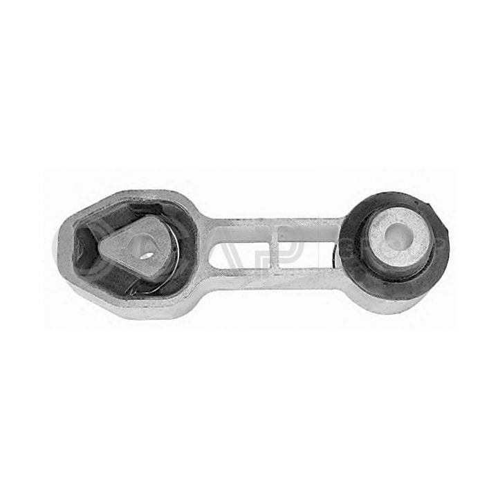 Variklio montavimas OCAP 1225948