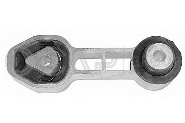 Variklio montavimas OCAP 1225948