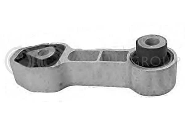 Variklio montavimas OCAP 1225949