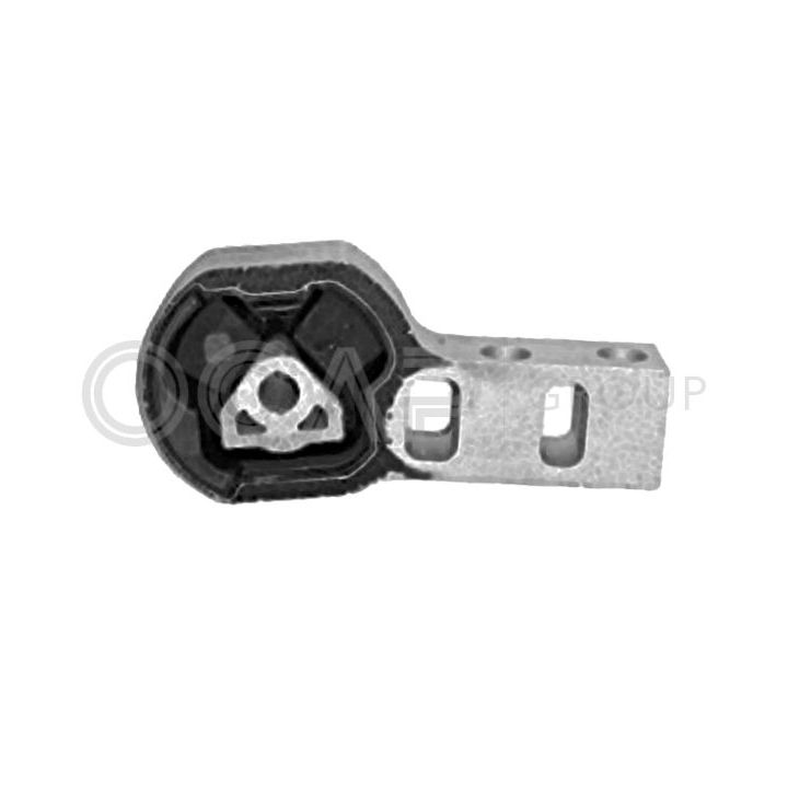 Variklio montavimas OCAP 1225952