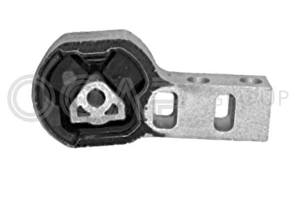 Variklio montavimas OCAP 1225952