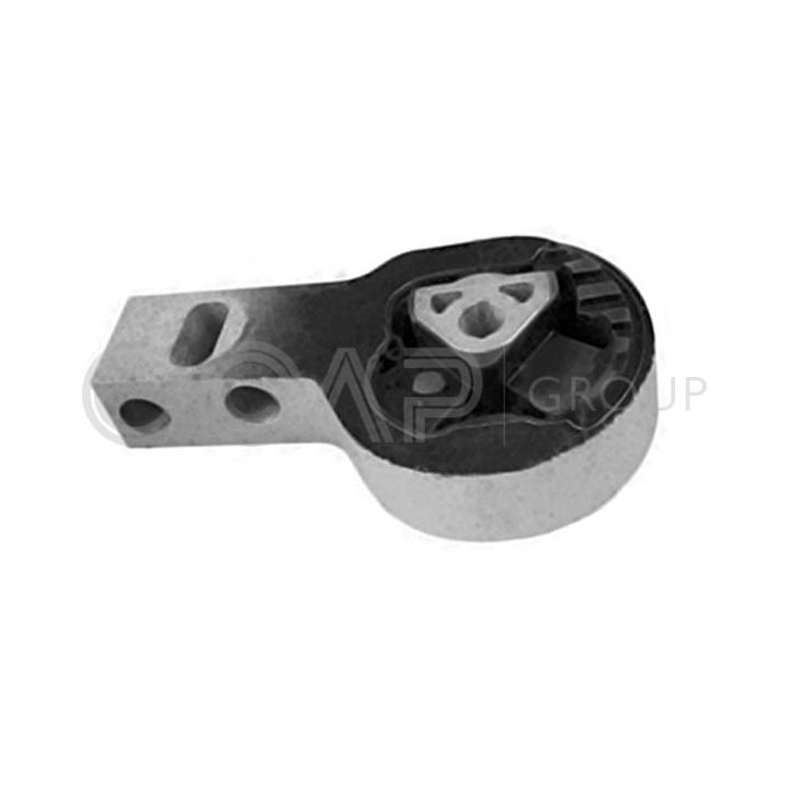 Variklio montavimas OCAP 1225953