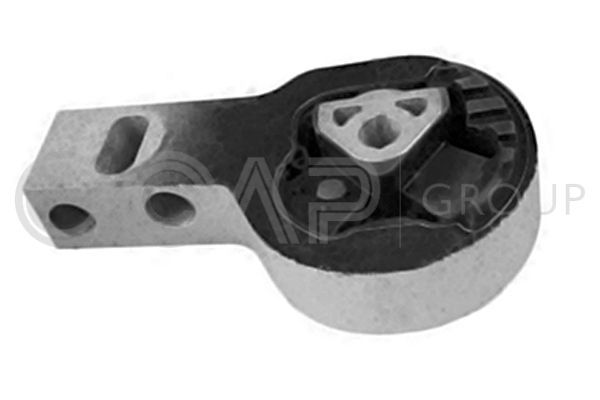 Variklio montavimas OCAP 1225953