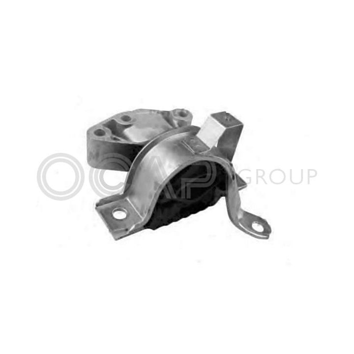 Variklio montavimas OCAP 1225954