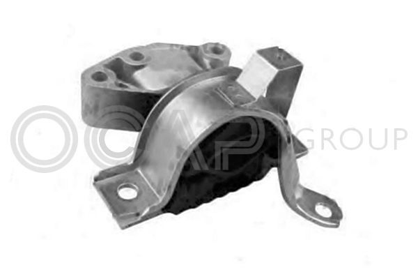 Variklio montavimas OCAP 1225954