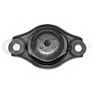 Variklio montavimas OCAP 1225955