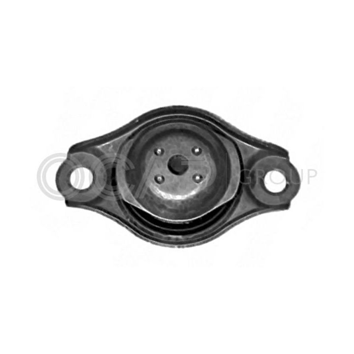 Variklio montavimas OCAP 1225955