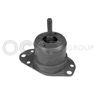 Variklio montavimas OCAP 1225956