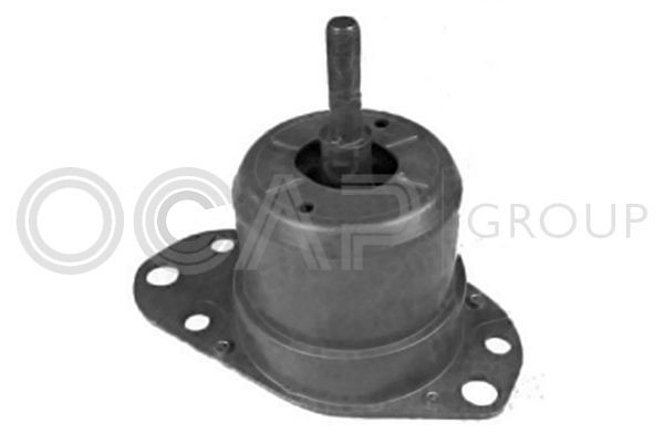 Variklio montavimas OCAP 1225956