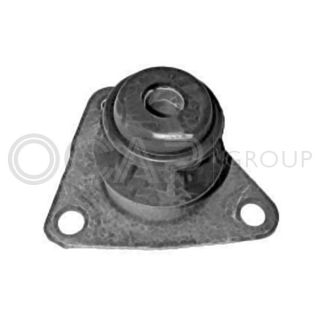 Variklio montavimas OCAP 1225957