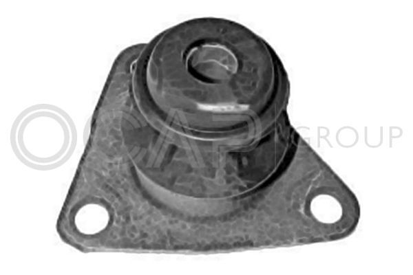 Variklio montavimas OCAP 1225957