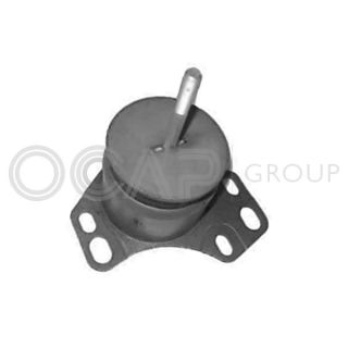 Variklio montavimas OCAP 1225958