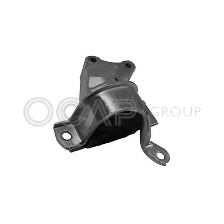 Variklio montavimas OCAP 1225959
