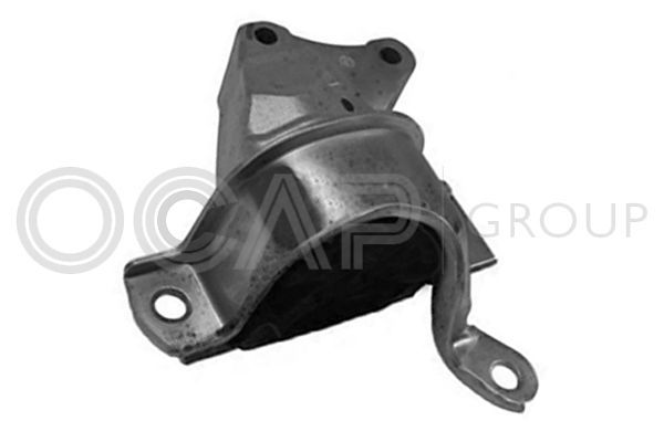 Variklio montavimas OCAP 1225959