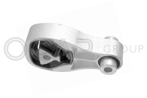 Variklio montavimas OCAP 1225960