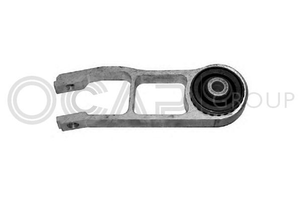 Variklio montavimas OCAP 1225964