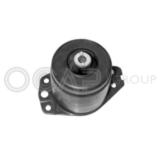 Variklio montavimas OCAP 1225966