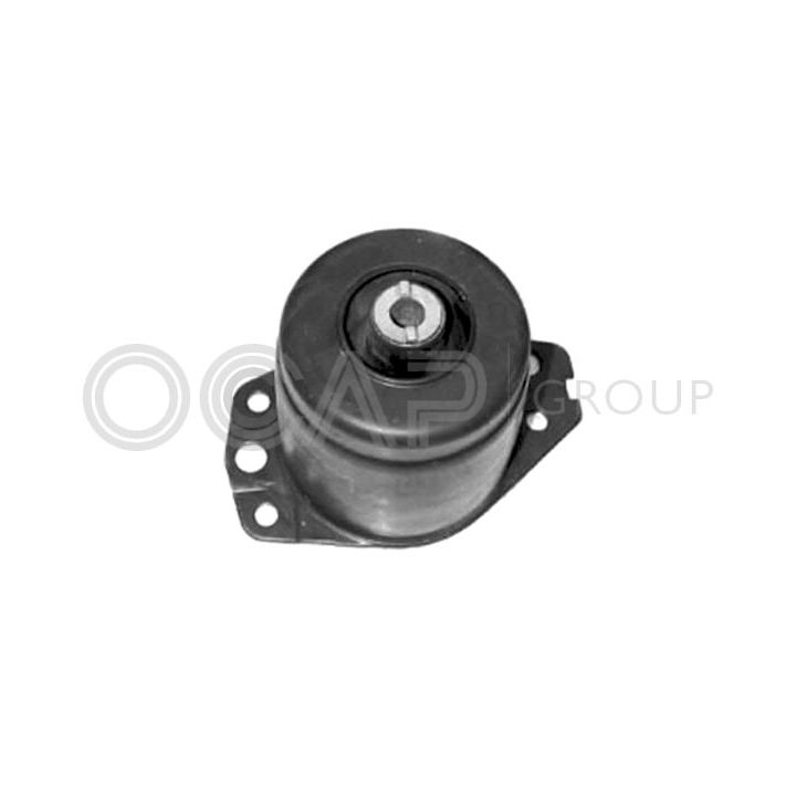 Variklio montavimas OCAP 1225966