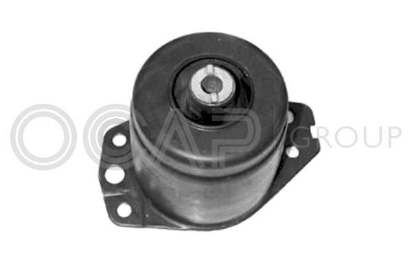 Variklio montavimas OCAP 1225966