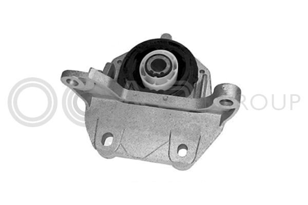 Variklio montavimas OCAP 1225968