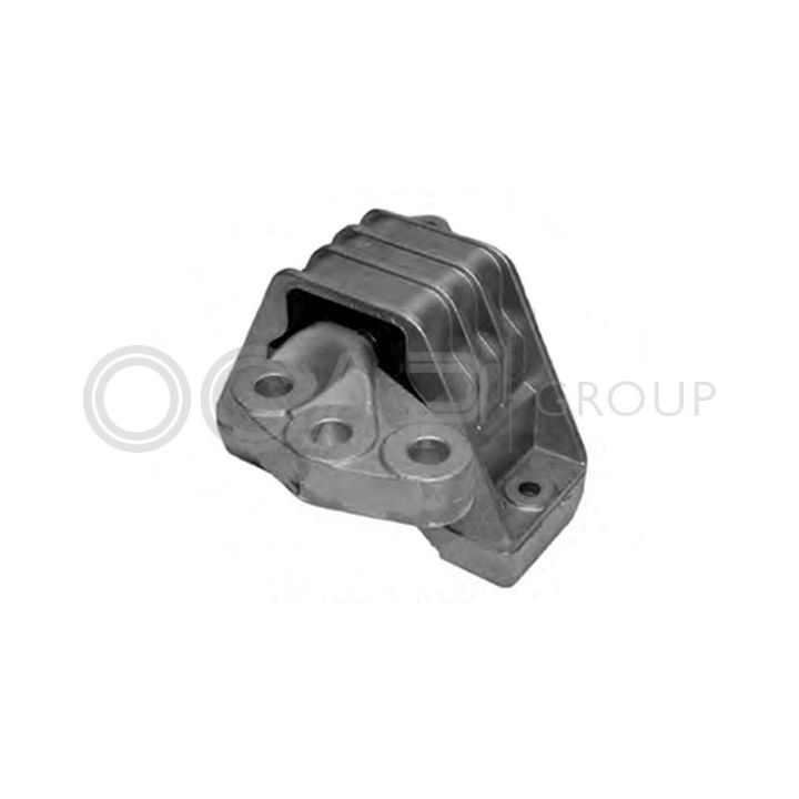 Variklio montavimas OCAP 1225973