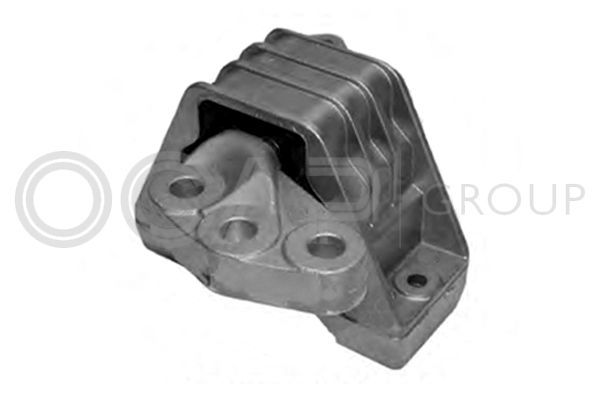 Variklio montavimas OCAP 1225973