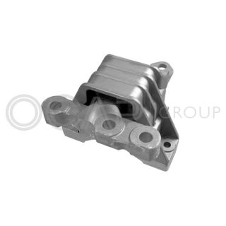 Variklio montavimas OCAP 1225974