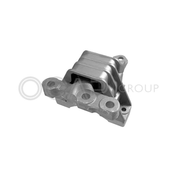 Variklio montavimas OCAP 1225974