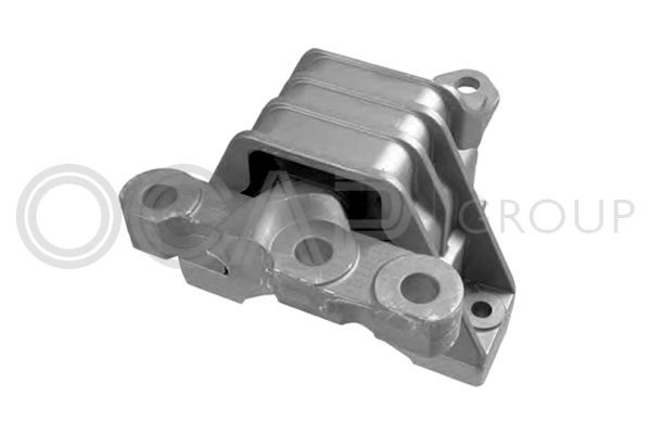 Variklio montavimas OCAP 1225974