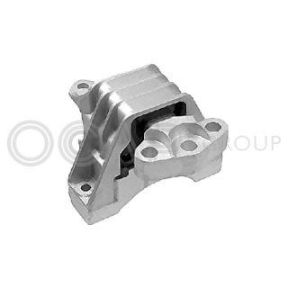 Variklio montavimas OCAP 1225975