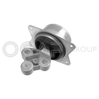 Variklio montavimas OCAP 1225976