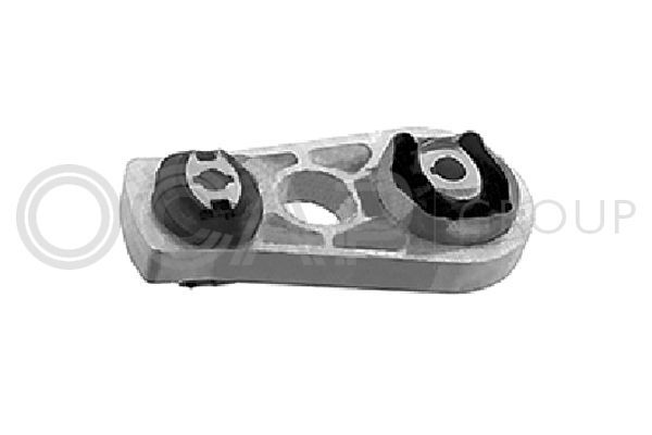 Variklio montavimas OCAP 1225977