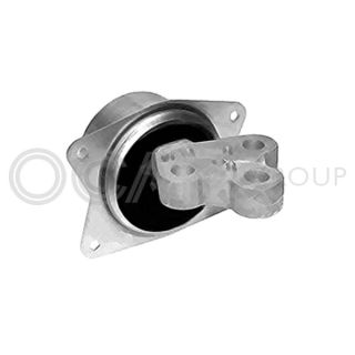 Variklio montavimas OCAP 1225979