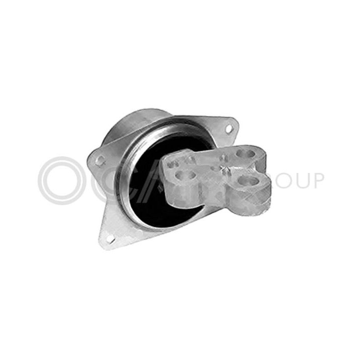 Variklio montavimas OCAP 1225979