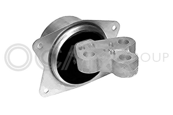 Variklio montavimas OCAP 1225979