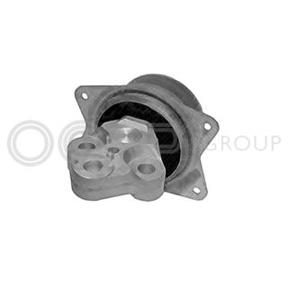 Variklio montavimas OCAP 1225980