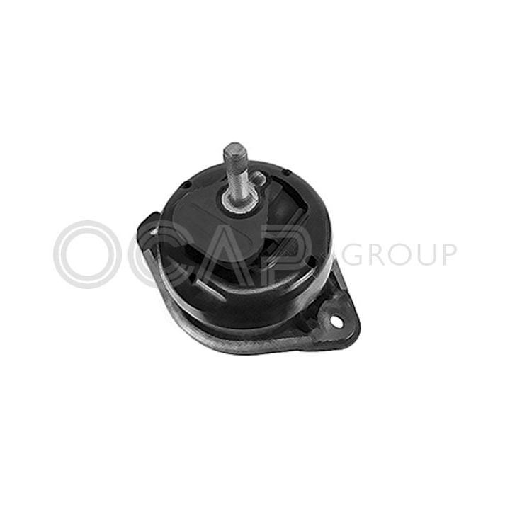 Variklio montavimas OCAP 1225982