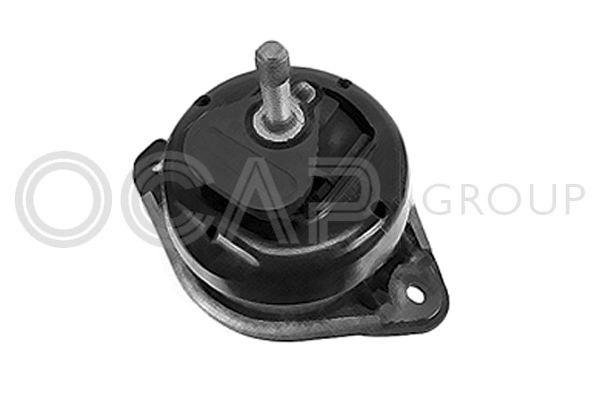 Variklio montavimas OCAP 1225982
