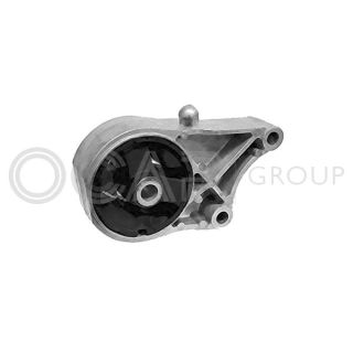 Variklio montavimas OCAP 1225983